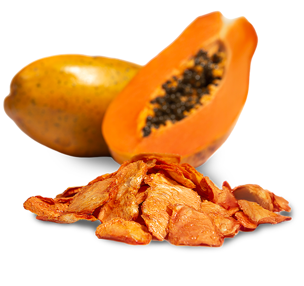 Variety of zeodrated fruits from zeofoodz brand papaya version